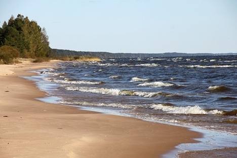 20251028-Austrumviru Aprinkis 08